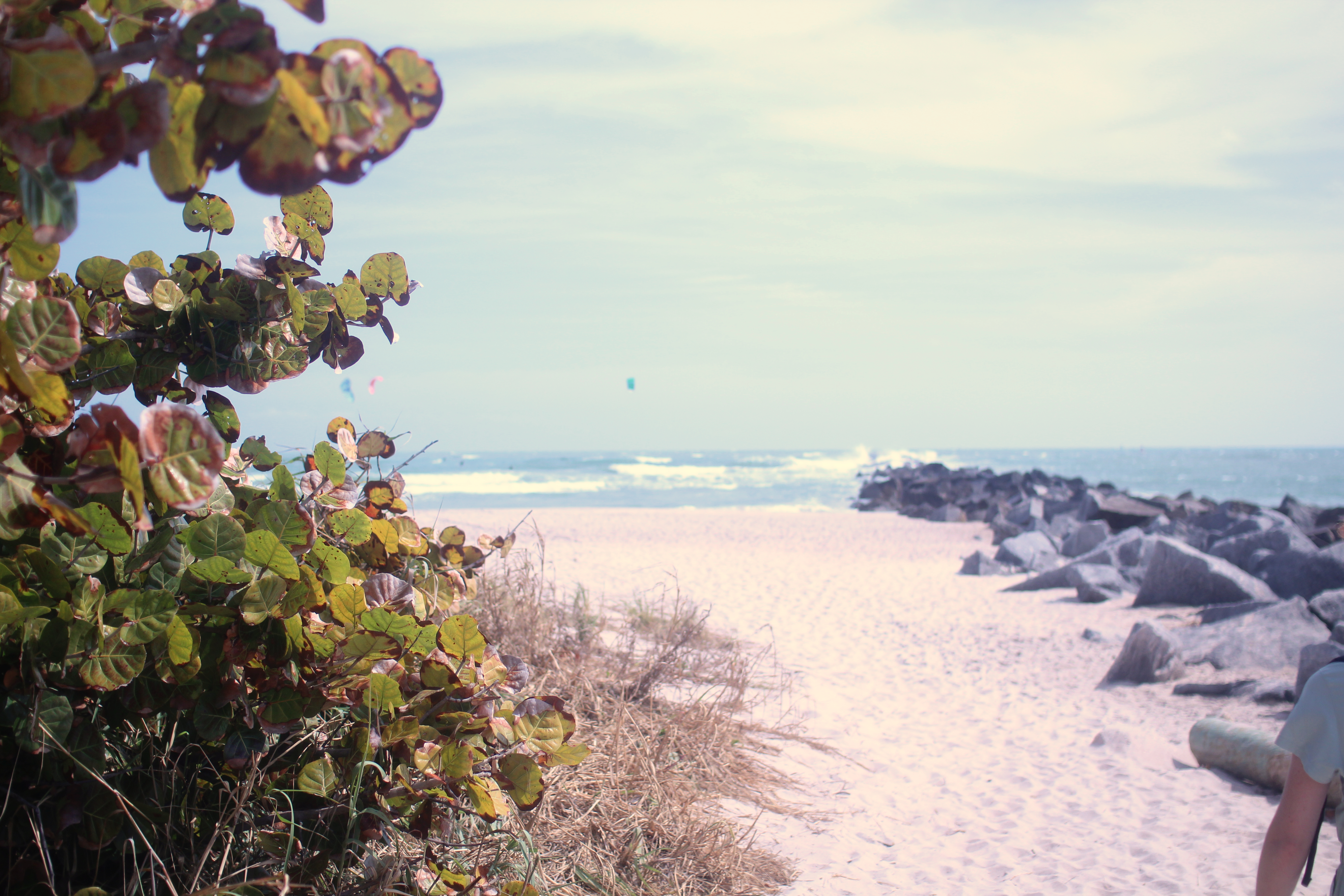 Florida Photography 2024